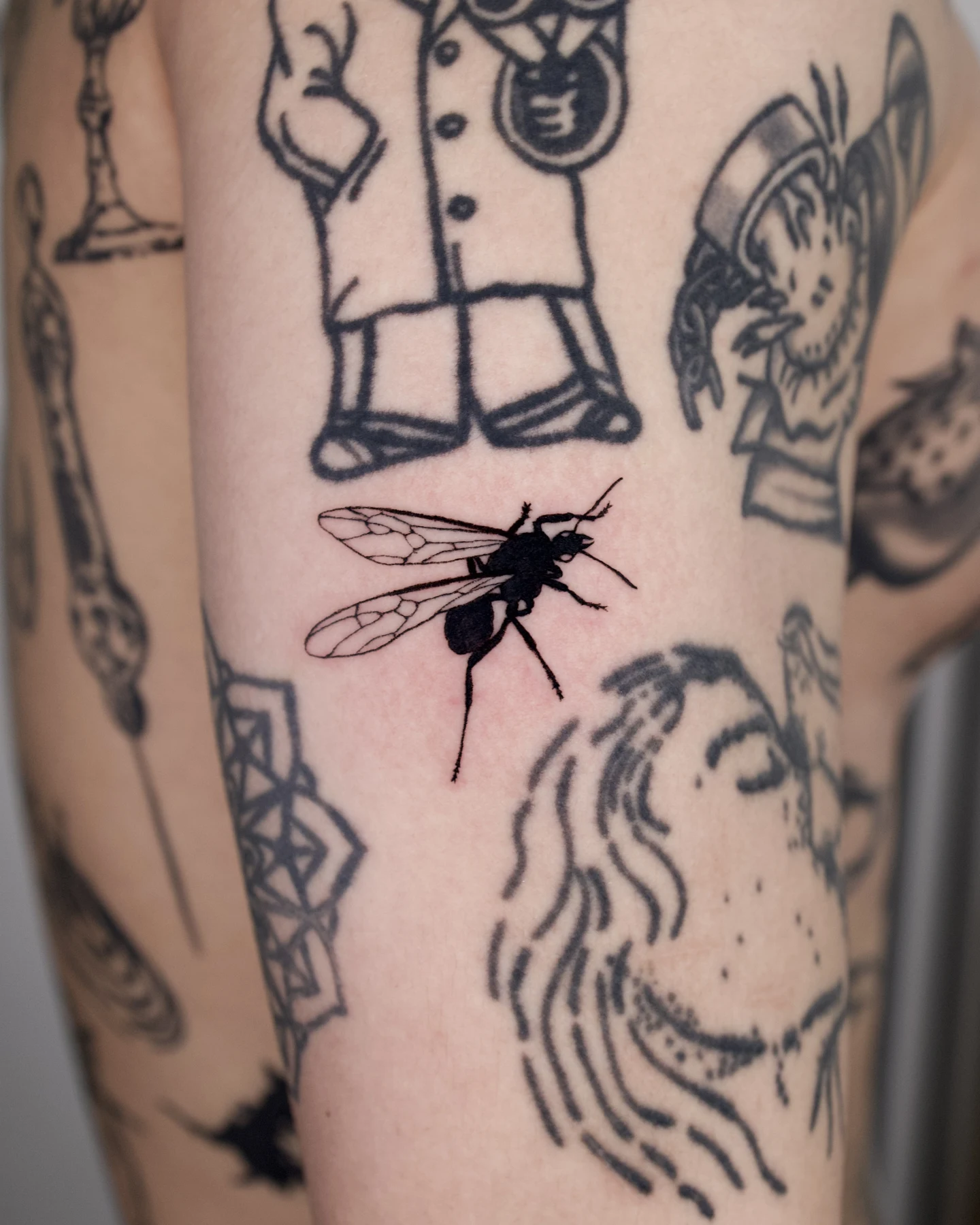 WINGED ANT