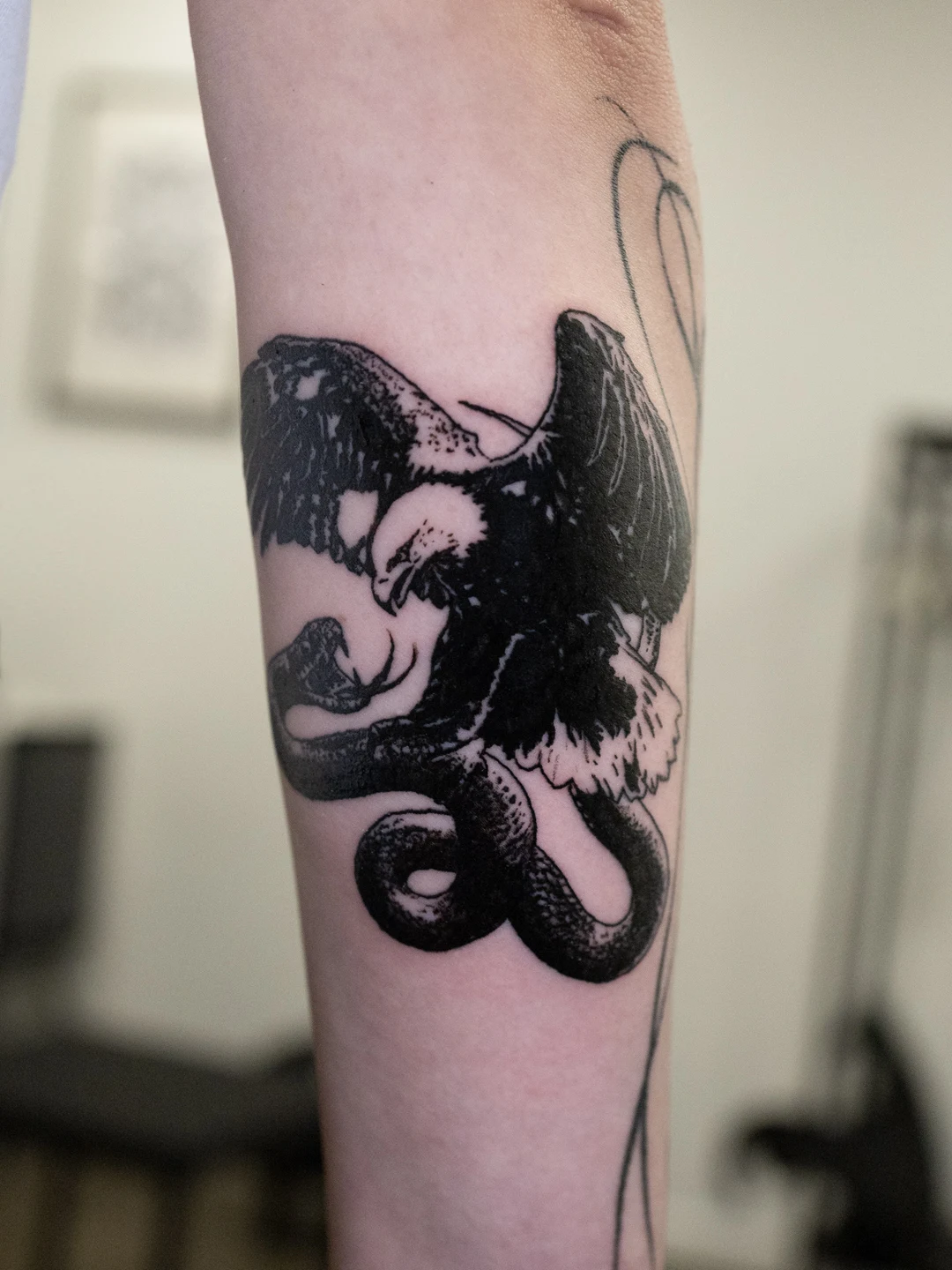 EAGLE & SERPENT