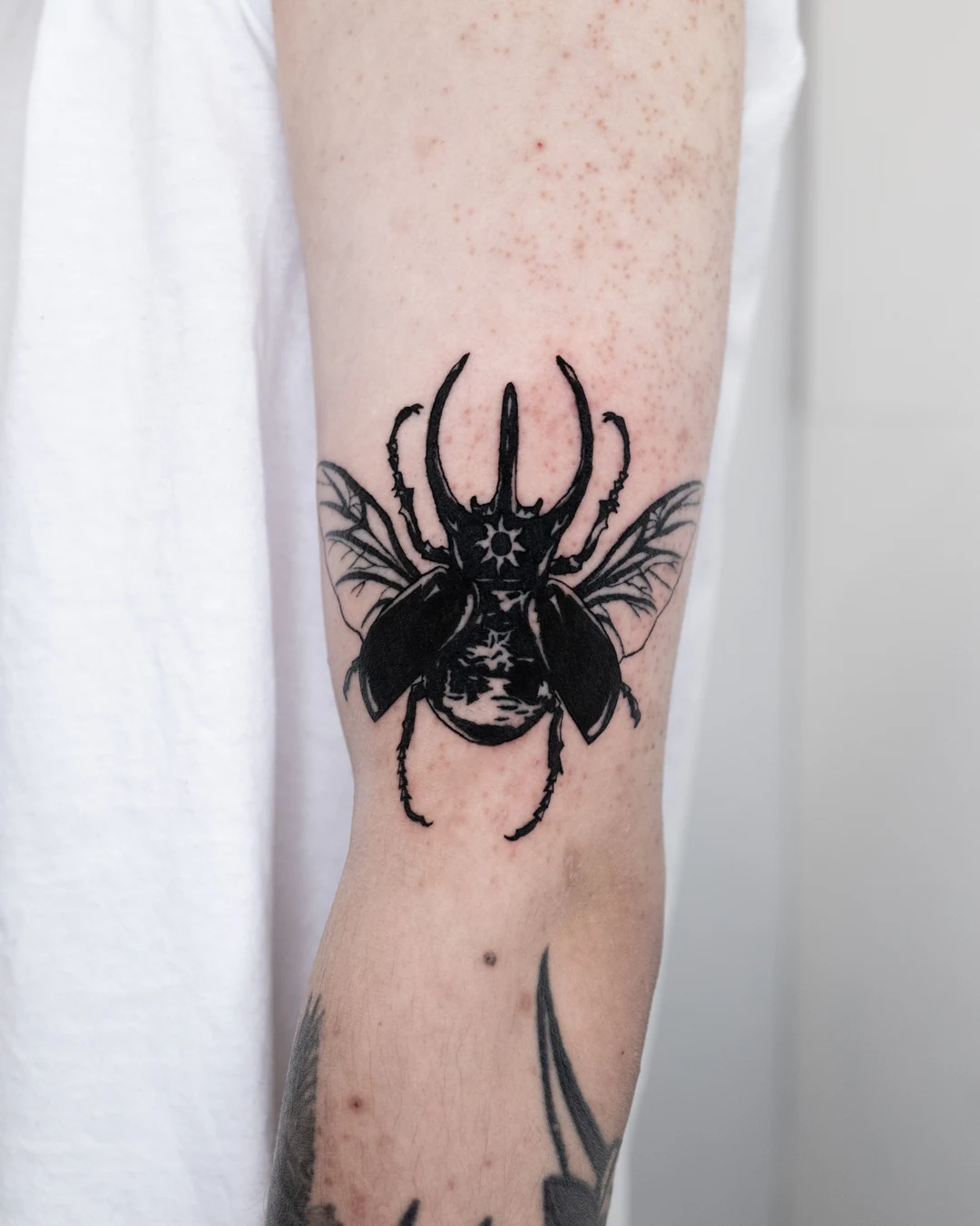 BEETLE
