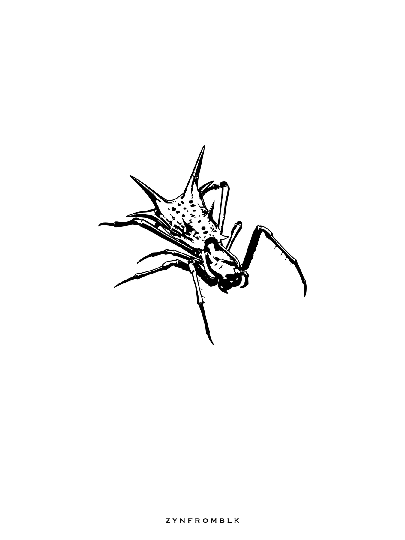 SPIDER