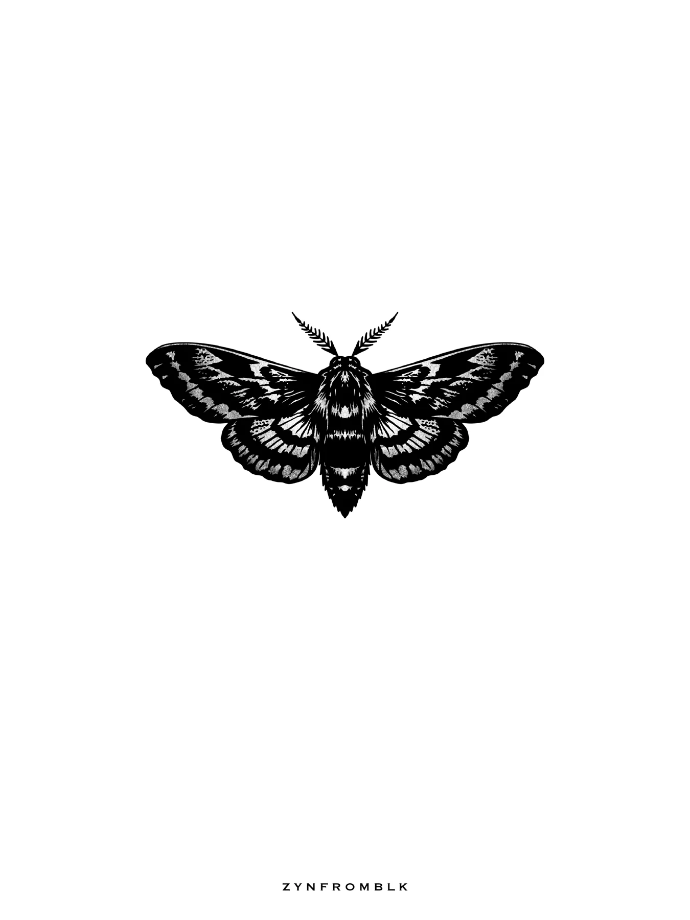 MOTH