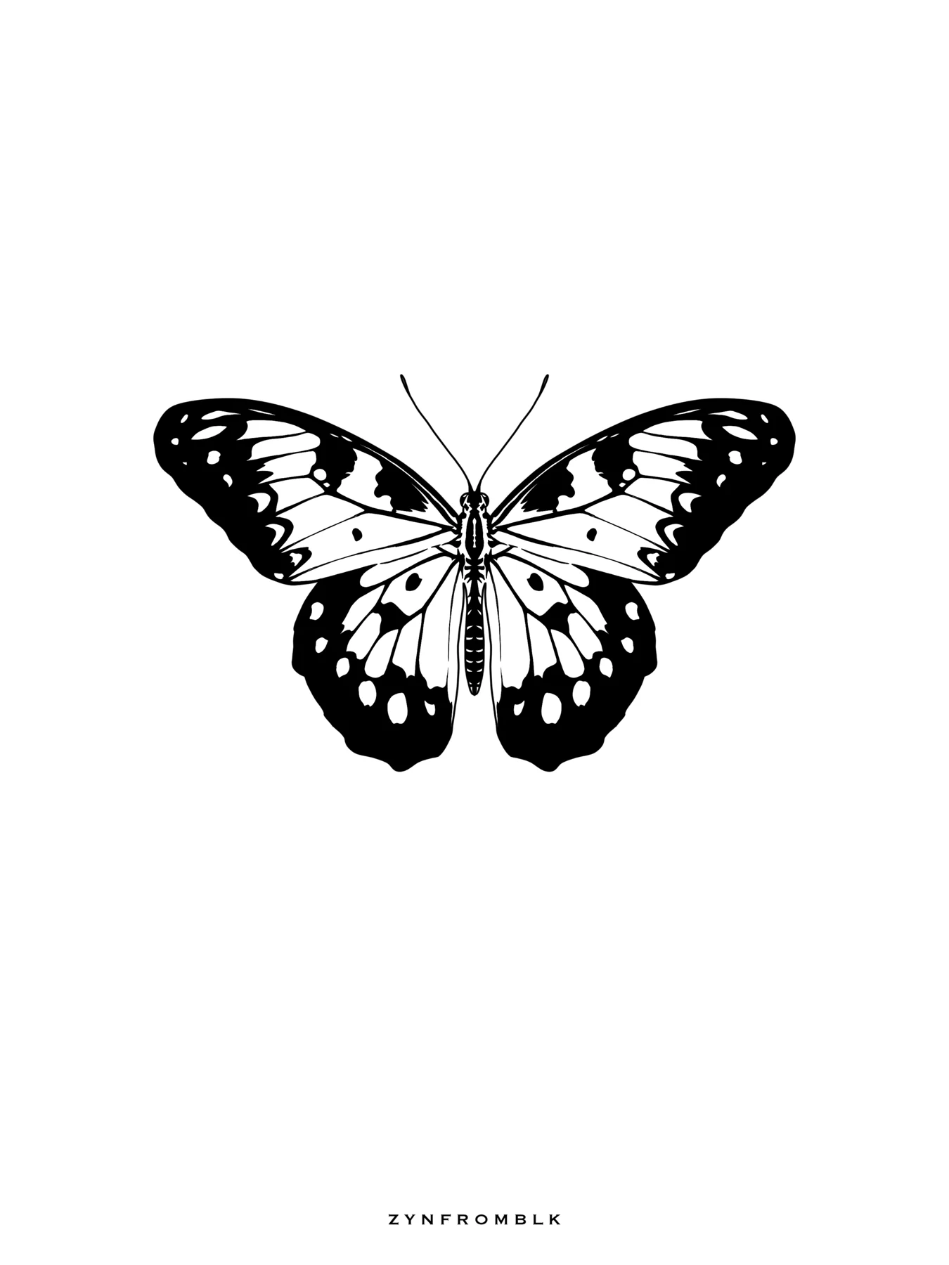 BUTTERFLY 1