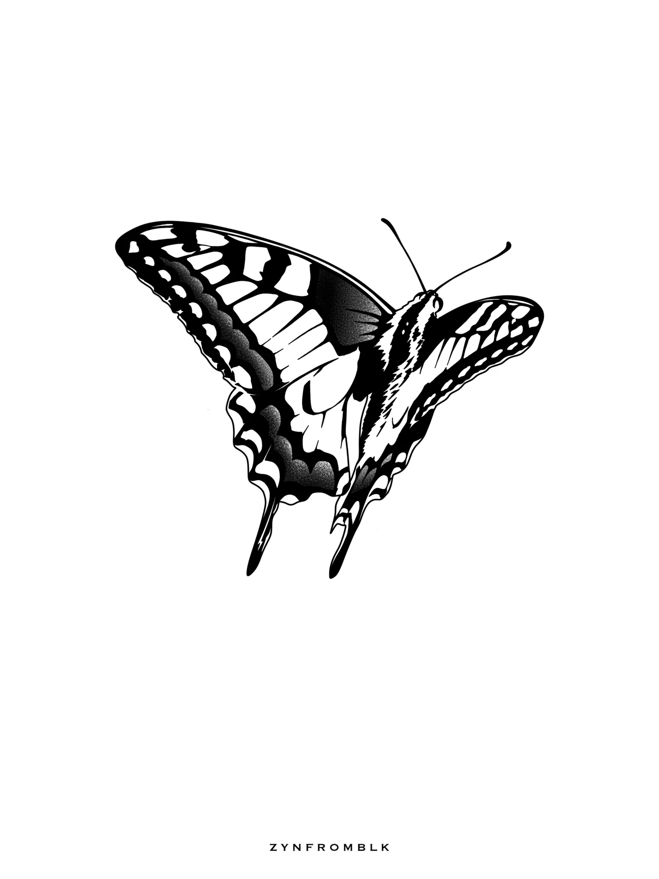 BUTTERFLY 2