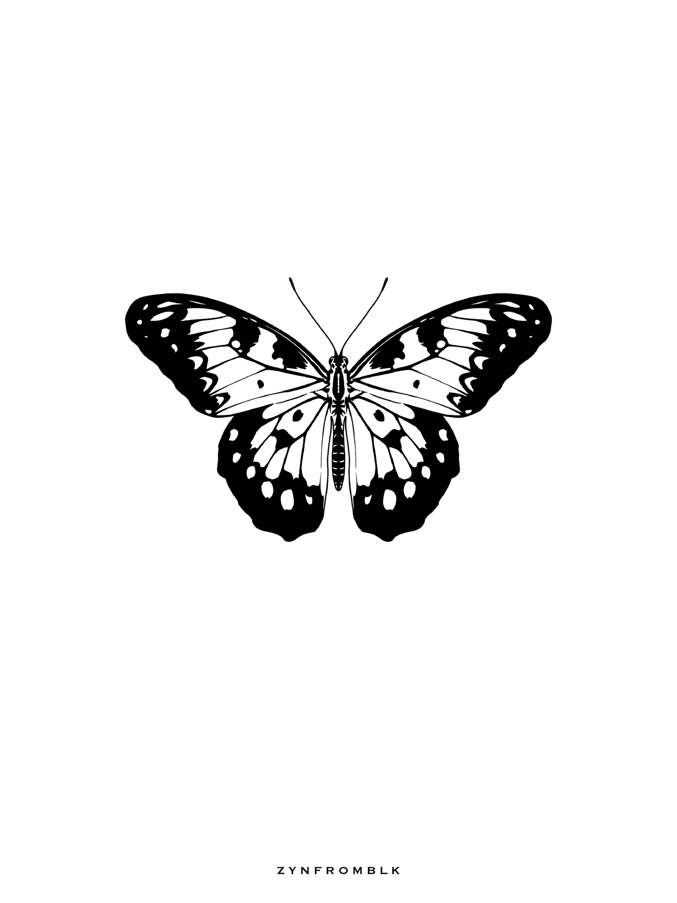 BUTTERFLY 3