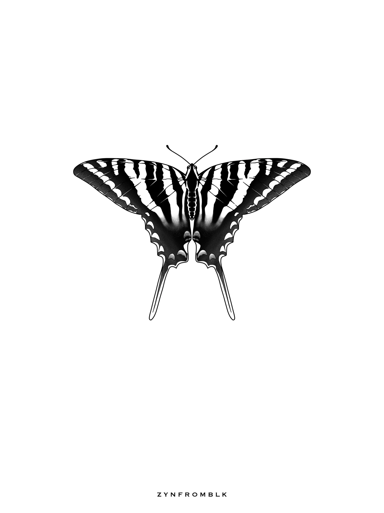 BUTTERFLY 4