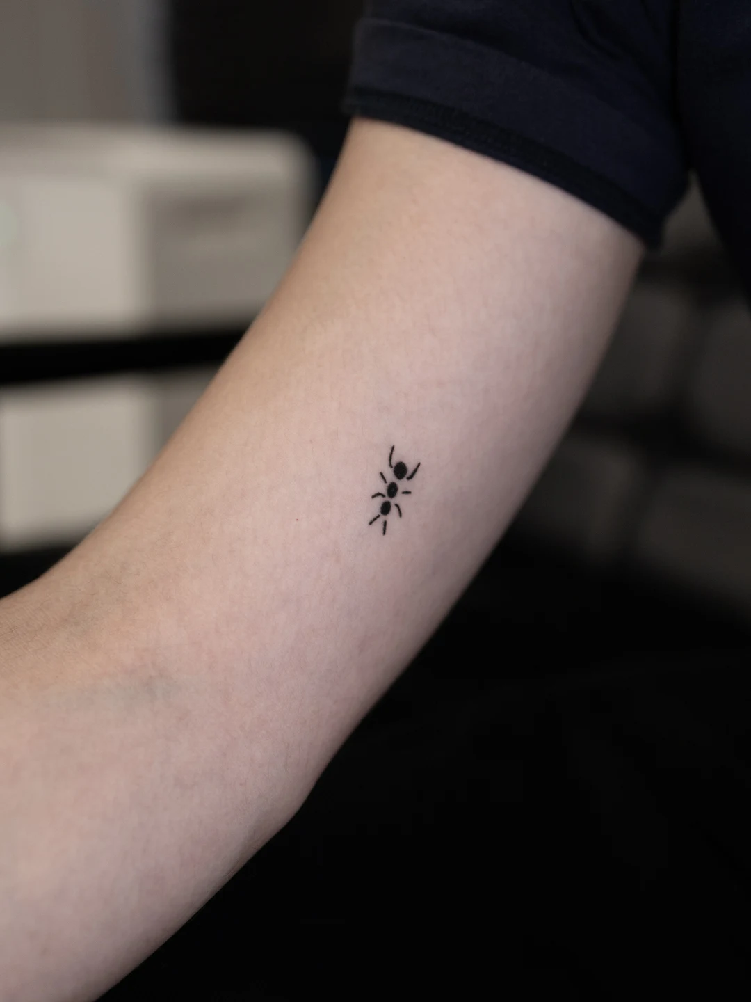 ANT